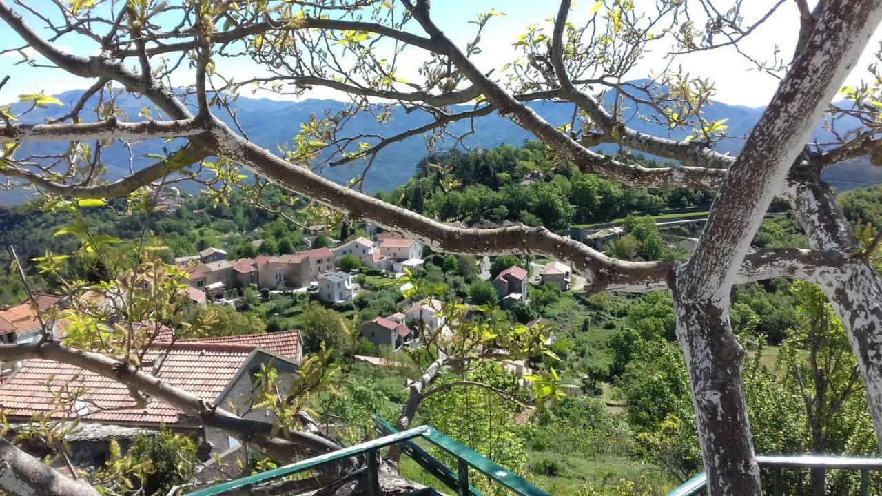 Villa Emmony Santo-Pietro-di-Venaco Εξωτερικό φωτογραφία